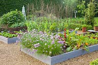 Vegetable garden with Allium schoenoprasum, Beta vulgaris, Pisum sativum Carouby de Maussane, Lactuca sativa 