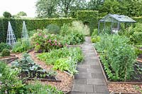 Vegetable garden with vegetables and herbs, Lactuca sativa, Pisum sativum, Brassica oleracea 