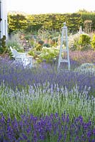 Seating area with lavender, Lavandula intermedia Grosso, Lavandula angustifolia Blue Ice, Lavandula angustifolia Hidcote, Lavandula angustifolia Edelweiss 