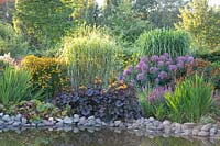 Pond bank with perennials, Darmera peltata, Crocosmia Lucifer, Helenium, Ligularia dentata, Eupatorium fistulosum giant umbrella, Miscanthus 