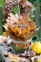 Glass wrapped with oak leaves as a lantern, Quercus rubra 