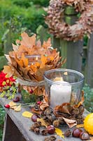 Glasses wrapped with oak leaves and beech nuts as a lantern, Quercus rubra, Fagus sylvatica 