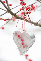 Heart made of ice with holly berries in cookie form, hanging on holly branch 