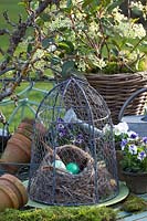 Decoration with bird's nest, horned violet and ornamental currant, Viola cornuta, Ribes laurifolium 