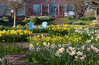 Farmhouse and Daffodil Meadow, Narcissus Rapture, Narcissus Madame Curie, Narcissus Mount Hood, Narcissus Ice Follies, Narcissus Professor Einstein 