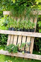Herb rack made from pallets 