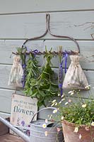 Dry herbs, Lavandula officinalis Melissa Lilac, Mentha, Rosmarinus 