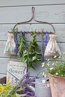 Dry herbs, Lavandula officinalis Melissa Lilac, Mentha, Rosmarinus 