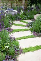 Small garden with running chamomile in paving joints, Anthemis nobilis, Thymus serpyllum 