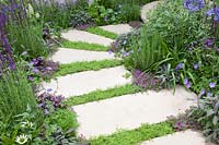 Small garden with running chamomile in paving joints, Anthemis nobilis, Thymus serpyllum 