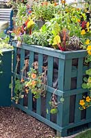 Raised bed made of pallets with vegetables and salad 
