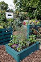 Raised bed made of pallets with vegetables and herbs 