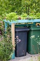 Garbage can cladding covered with lettuce and strawberries, Lactuca sativa, Fragaria 