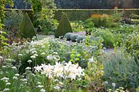 Cottage garden with vegetables and herbs, Allium tuberosum, Buxus, Helichrysum italicum, Lilium regale 