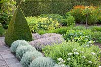 Cottage garden with vegetables and herbs, thyme, Helichrysum italicum 
