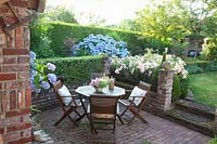 Terrace in the garden, Rosa Sommerwind, Hydrangea macrophylla Endless Summer, Buxus 