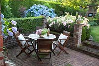 Terrace in the garden, Pink Summer Wind, Hydrangea macrophylla Endless Summer 