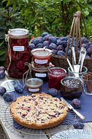 Plums in port wine, plum chutney, plum puree, plum jam, plum mustard, plum cake, Prunus domestica Cacaks Schoene 