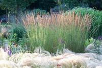 Reed grass and feather grass, Nasella tenuissima, Calamagrostis acutiflora Karl Foerster 