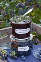 Blueberry jam with thyme, blueberries marinated in vodka, Vaccinium corymbosum Legacy 