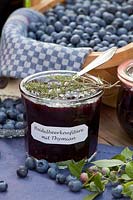 Blueberry jam with thyme, Vaccinium corymbosum Legacy 