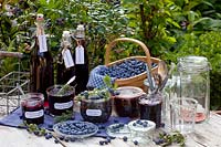 Stillife Preserving blueberries, blueberry compote with vanilla, blueberry jam with thyme, blueberries in vodka, blueberry juice, blueberry syrup, blueberry liqueur, Vaccinium corymbosum Legacy 