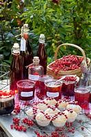 Stillife Preserving of currants, currant juice, currant jam with sparkling wine, currant jelly with apricots, currant vinegar, currant muffin, Ribes rubrum 