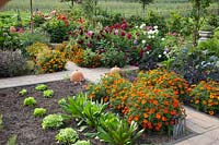 Vegetable garden, Dahlia, Tagetes patula Favorite Red, Cichorium, Brassica oleracea, Lactuca sativa 