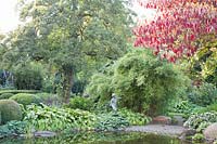 Autumn garden with pagoda dogwood and bamboo, Cornus controversa, Fargesia murielae Simba 