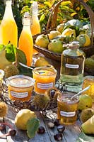 Preserves from quince, Cydonia oblonga 