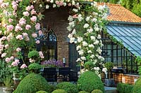 Pergola and seating area with climbing rose 