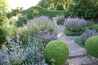 Garden with catnip and flowering sage, Nepeta faassenii Six Hills Giant, Salvia officinalis 