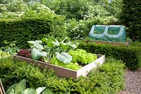Potager with wooden raised beds surrounded by yew hedges 
