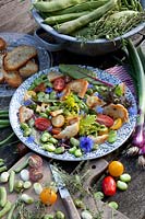Tuscan bread salad with tomatoes and broad beans, Solanum lycopersicum, Vicia faba 