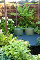 Small garden with tree fern 