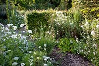 Bed with white summer flowers and perennials 