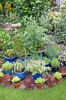 Herbs and salad in pots 