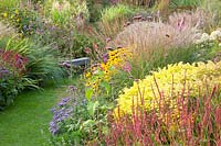 Bed with easy-care perennials, Solidago Loysder Crown, Persicaria amplexicaulis, Aster 