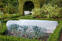 Protective fleece and protective net for cabbage, Brassica oleracea 