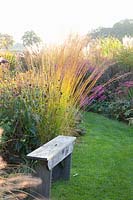 Seating area and bed with Moorgrass in autumn, Molinia caerulea Heidebraut 