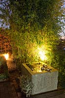 Light in the garden, spotlighted bamboo and water basin 