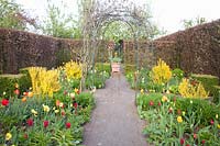 Garden with copper beech hedge in spring, Fagus sylvatica, Tulipa, Berberis thunbergii 