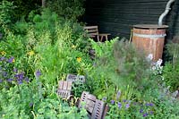 Cottage garden in early summer 