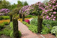 Garden view with perennials and rhododendron 