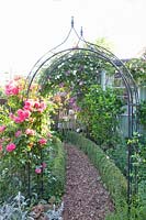 Rose arch with climbing rose, Rosa Rosarium Uetersen 