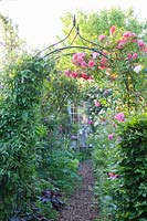 Rose arch with climbing rose, Rosa Rosarium Uetersen 