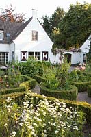 Cottage garden 