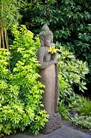 Stone Buddha with Aucuba japonica and Choisya ternata Sundance 