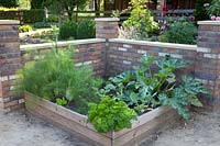 Vegetable bed with fennel, zucchini and parsley 