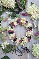Wreath with ingredients, flowers of Hydrangea paniculata Limelight, Sedum Herbstfreude, Sedum Mr. Goodbud 